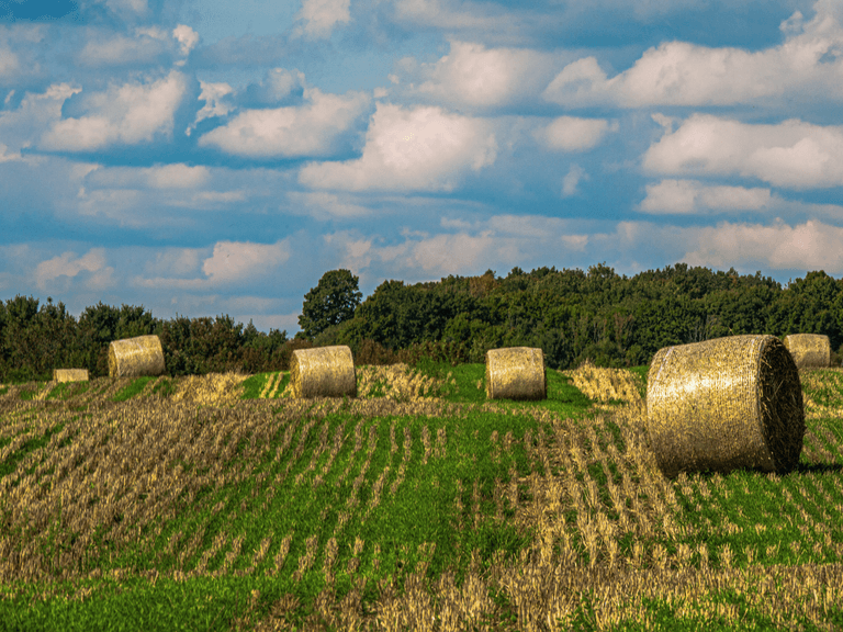Land and agriculture